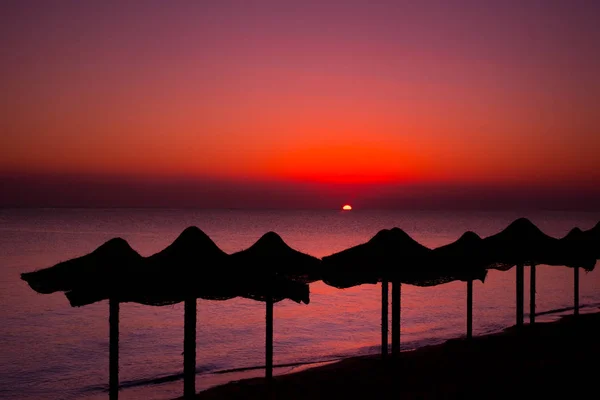 Parasols Sur Rivage Sablonneux Station Balnéaire Coucher Soleil Corse France — Photo