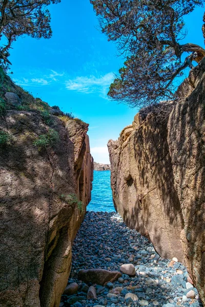 Прибережні Скелі Напрямку Відпочинку Корсики Франція — стокове фото