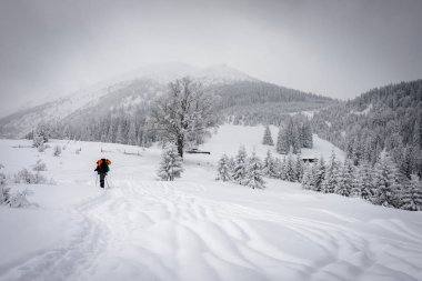 Fiyatı sıradağları üzerinde tırmanma sırt çantası ile. Kış vahşi doğada macera.