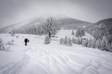 Sırt çantası dağ sıradağlarına tırmanma ile Yürüyüşçü.