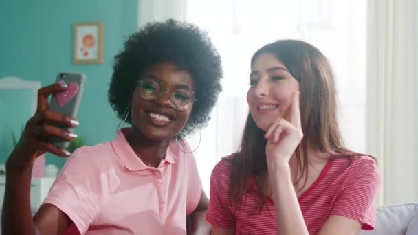 Vrouwen Soulmates zijn glimlachen en Selfie — Stockvideo