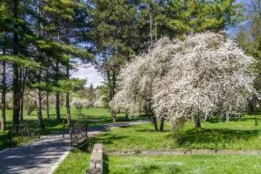 Nalchik güneşli bahar görünümü, Kabardey-Balkar başkenti, Rus
