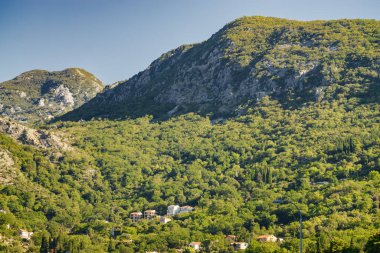 Karadağ 'ın Kotor Körfezi' ndeki güzel küçük kasaba Risan 'ın güneşli sabah manzarası.