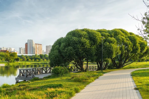 Güney Butovo bölgesindeki Yuzhnoe Butovo parkının yaz sabahı manzarası, Moskova, Rusya.