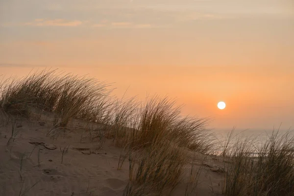 North Sea Coast Sunset Summer Netherlands Europe — Stock Photo, Image