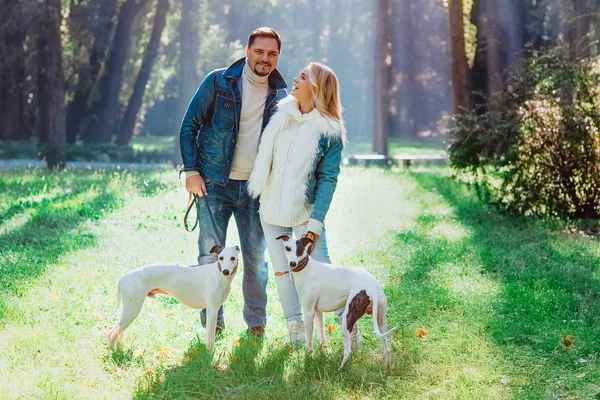 güzel güzel genç çift (kadın ve erkek) kot giysiler içinde iki whippet köpekler açık yürüyüş - sağlıklı yaşam tarzı. Evcil hayvanlar, sevgi ve dostluk konsepti