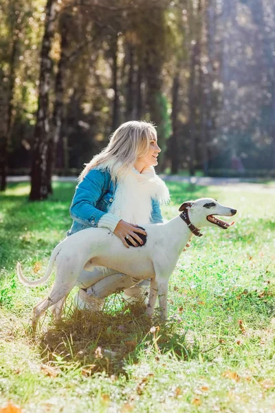 Beautiful Adorable Happy Blonde Woman Owner Her Whippet Outdoor — Stock Photo, Image