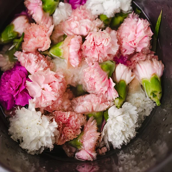 Suda pembe, beyaz ve kırmızı karanfiller