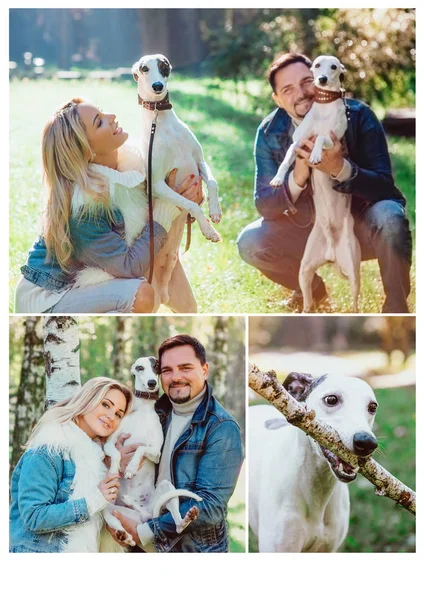 Keans 服ホイペット犬屋外 健康的なライフ スタイルとウォーキングで美しい素敵なカップル 女と男 — ストック写真
