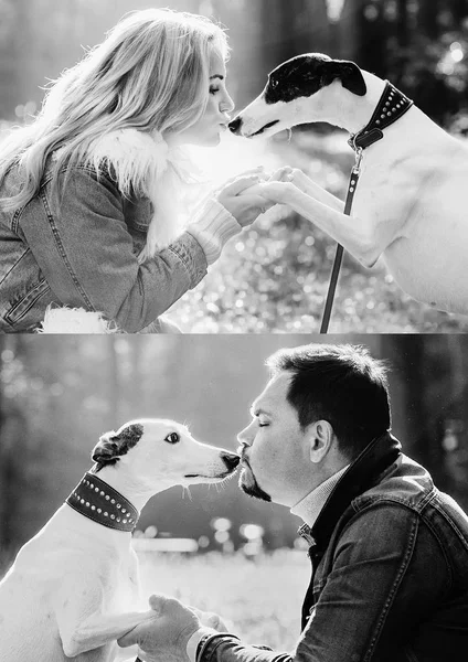 美しいカップル 女性と男性 ジーンズの服では 鞭犬の屋外でキス 健康的なライフスタイルの概念 — ストック写真