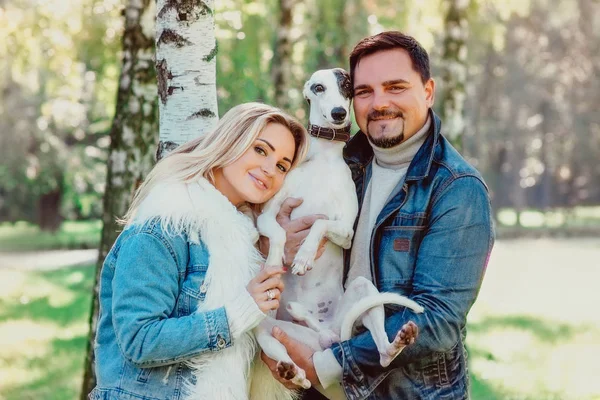 Schönes Schönes Paar Frau Und Mann Jeanskleidung Das Mit Peitschenhunden — Stockfoto