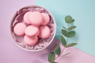 pembe lezzetli ev yapımı macarons yuvarlak kutusu ve Menekşe (mor) dalına okaliptüs ve mentol (yeşil) arka plan