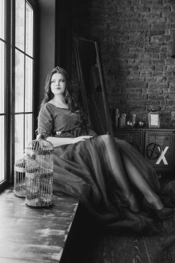 uzun saçlı uzun kraliçe elbise ve taç güzel genç güzel sevimli kadın prenses (kraliçe) monokrom portre ve pencere tarafından minimalist çatı iç kapalı makyaj