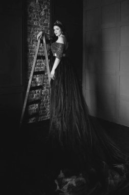 uzun saç ve minimalist iç kapalı makyaj uzun mor kraliçenin elbise ve taç, güzel genç güzel sevimli kadın Prenses (Kraliçe) portre