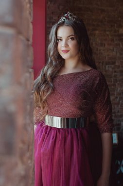 uzun saçlı uzun mor kraliçe elbise ve taç güzel genç güzel sevimli kadın prenses (kraliçe) portresi ve pencerenin yanında duran minimalist çatı iç kapalı makyaj