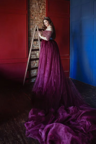 Uzun Saç Ile Uzun Mor Kraliçe Elbise Taç Güzel Genç — Stok fotoğraf