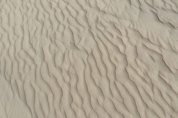 sand texture in the desert, background