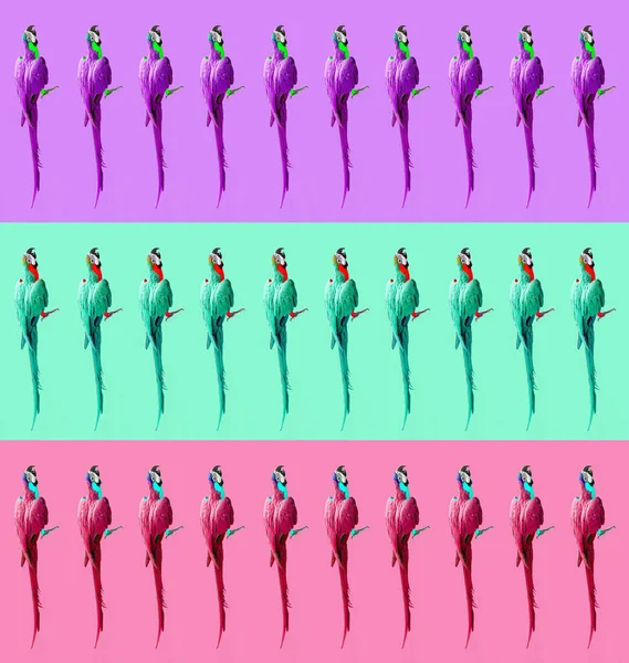 Gek Kleurrijke Ultraviolet Behang Met Ara Papegaaien Foto Moderne Patroon — Stockfoto
