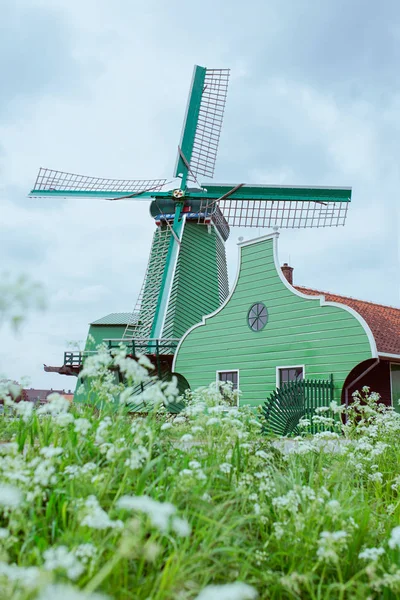 Παραδοσιακό Ολλανδό Παλιό Ανεμόμυλο Καλοκαίρι Ολλανδία — Φωτογραφία Αρχείου