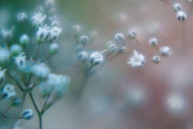 soyut bulanık çiçekli arkaplan desenli fotoğraf. 