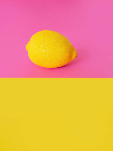 stylish yellow lemon on pink and yellow background. Citrus, summer, fruits concept