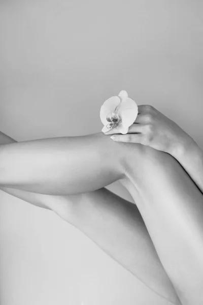 レーザーエピレーション後の滑らかな女性の足の黒と白の画像と手のファラエノーシスを保持 優しさ 脱毛の概念 — ストック写真