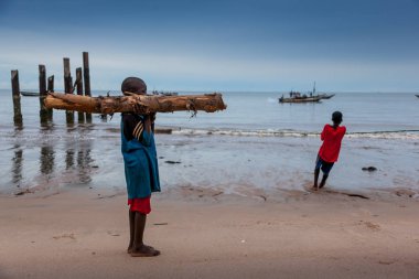 Yongoro, Sierra Leone - 01 Haziran 2013: Batı Afrika, bilinmeyen çocuk ahşap taşır ve balıkçılar Yongoro plajlar Sierra Leone, Freetown başkenti önünde, balık ağlarına çekin
