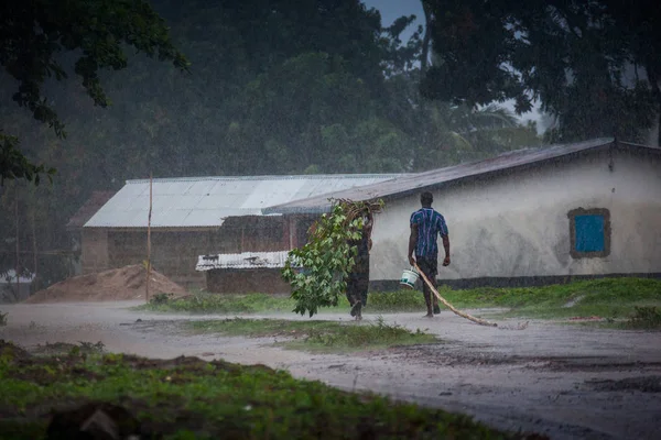 Yongoro 塞拉利昂 2013年6月03日 不明的人在雨中运载木头在村庄在首都弗里敦前面 塞拉利昂 — 图库照片