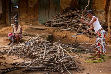 Yongoro, Sierra Leone - 03 Haziran 2013: Batı Afrika, bilinmeyen kadın odun köyün başkent Freetown, Sierra Leone önünde kesmek