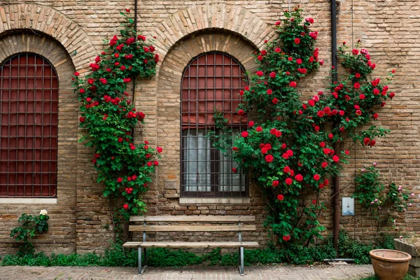 Італія Травня 2018 Трояндовий Сад Внутрішньому Дворику Музею Рісорджіменто Опору — стокове фото