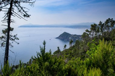 Sestri Levante, Genoa, İtalya - Portofino ve Yarımadası Sestri Levante, Punta Manara'ya çam ormanı ve çilek ağacı bitkiler Liguria, İtalya giden yolu üzerinden promontory görünümünü.