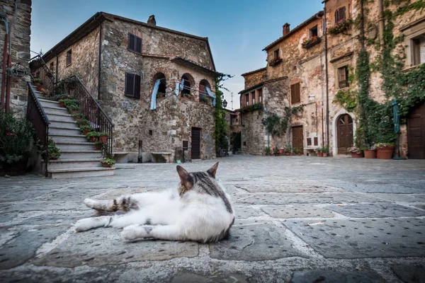 Montemerano, Toskana - Maremma küçük ortaçağ köyünde. Montemerano Grosseto, İtalya'dan 55 kilometre Maremma, kalbinde 12. yüzyıl iline