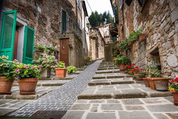 モンティエーリ グロッセート トスカーナの典型的な古代村狭い通りと石造りの建物 — ストック写真