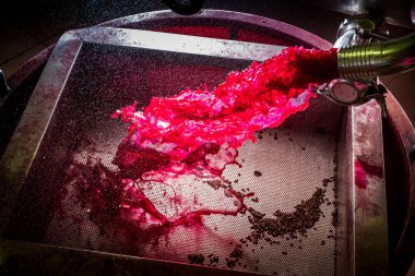 Peccioli, Pisa, Toskana - Peccioli Vadisi Piza, İtalya, işleme ve şarap üzüm bağları Bakımı ili kırsal manzara