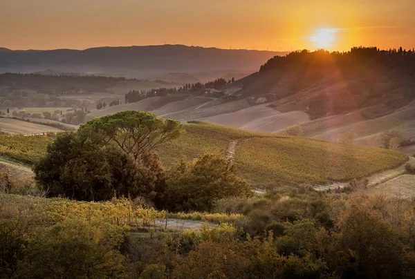 Peccioli Pisa Toscane Natuur Landschap Vallei Van Peccioli Provincie Van — Stockfoto