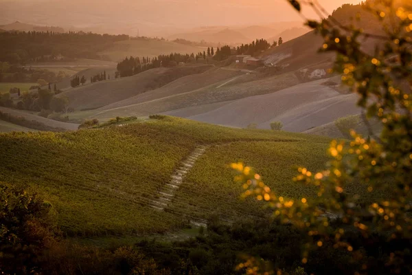 Peccioli Pisa Toscane Natuur Landschap Vallei Van Peccioli Provincie Van — Stockfoto