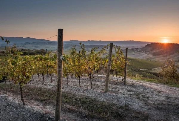 Peccioli Pisa Toscane Natuur Landschap Vallei Van Peccioli Provincie Van — Stockfoto