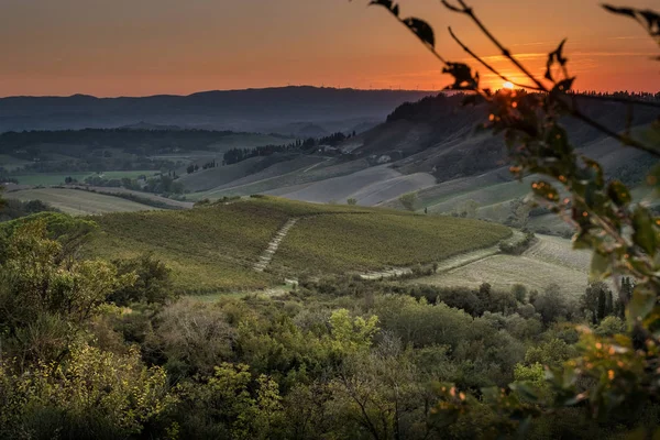 Peccioli Pisa Toscana Paesaggio Campagna Nella Valle Peccioli Provincia Pisa — Foto Stock