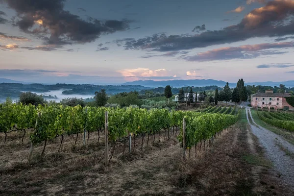 Peccioli Pisa Toscane Natuur Landschap Vallei Van Peccioli Provincie Van — Stockfoto