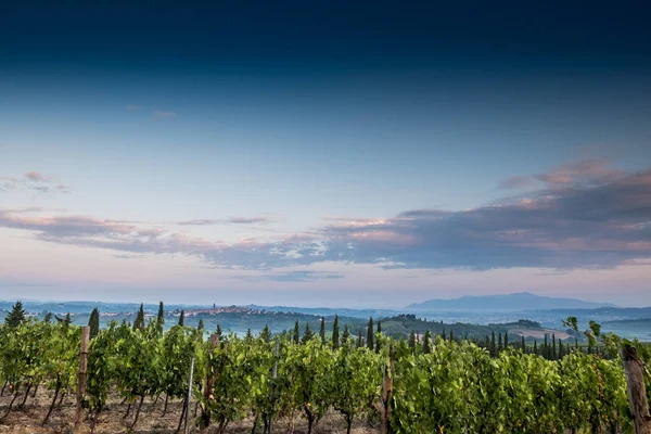 Peccioli Pisa Toskánsko Venkovské Krajiny Údolí Peccioli Provincii Pisa Itálie — Stock fotografie