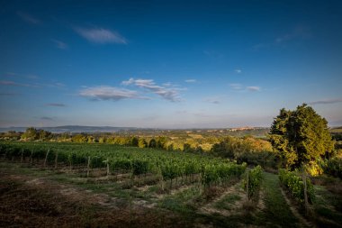 Peccioli, Pisa, Toskana - Peccioli Vadisi Piza, İtalya, işleme ve şarap üzüm bağları Bakımı ili kırsal manzara