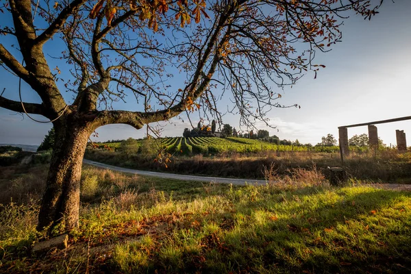 Peccioli Pisa Toscana Paisagem Rural Vale Peccioli Província Pisa Itália — Fotografia de Stock