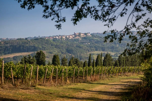 佩乔利 托斯卡纳 意大利比萨省佩乔利山谷的乡村景观 加工和护理葡萄酒的葡萄园 — 图库照片