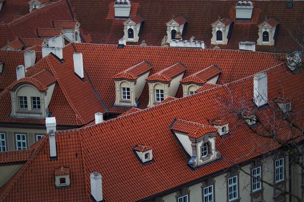 Prague Czech Republic View City Its Typical Red Roofs Prague — Stock Photo, Image