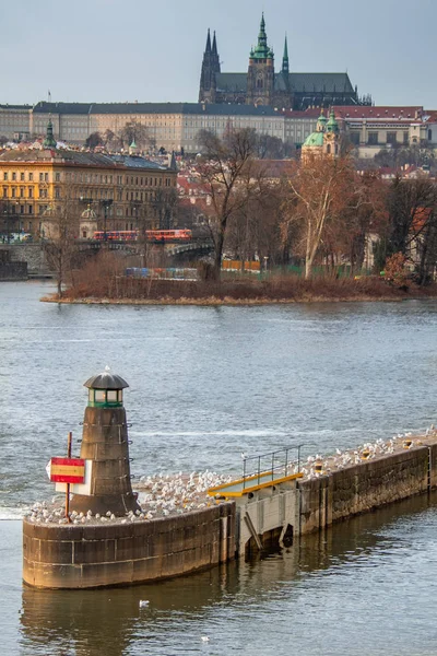 Prag Tjeckien Antika Gamla Staden Arkitektur Och Vltava Floden Piren — Stockfoto