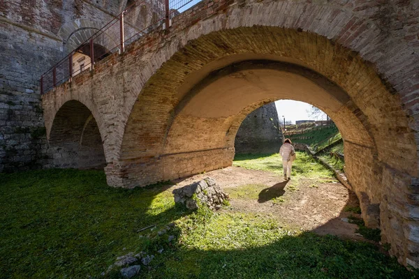 Porta Nuova Oder Porta Salis Mit Den Beiden Xvi Jahrhundert — Stockfoto