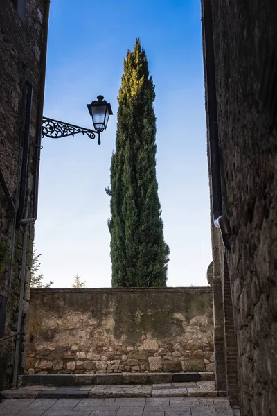 Tipik Sokakları Cypress Tarihi Merkezi Colle Valdelsa Siena Eyaletinin — Stok fotoğraf