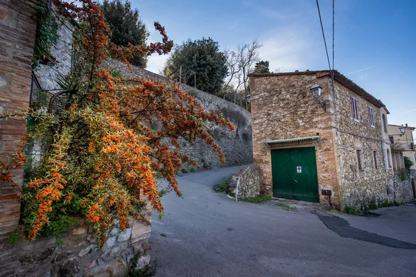 意大利托斯卡纳利沃诺省中世纪村庄 Suvereto 历史部分典型的内部道路 — 图库照片