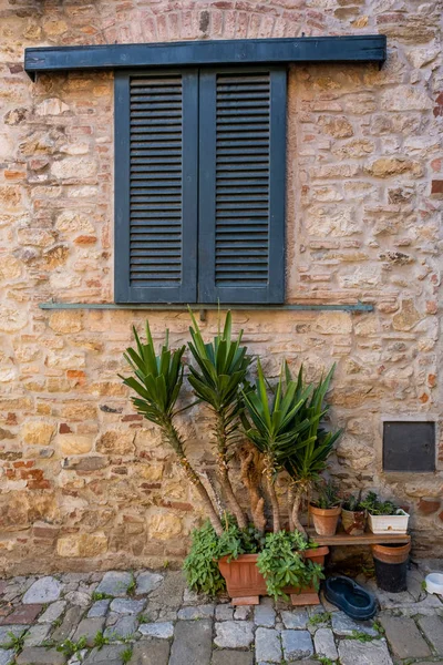 Door Windows Ornamental Plants Ancient Village Suvereto Province Livorno Tuscany — Stock Photo, Image