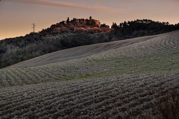 Montegemoli Ιταλία Ιανουάριος 2019 Χωριό Των Montegemoli Κατά Την Χριστουγεννιάτικη — Φωτογραφία Αρχείου